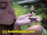 /home//u458753944/public_html/sourcegallery///Frogs/Mixed frogs/P1070615.JPG